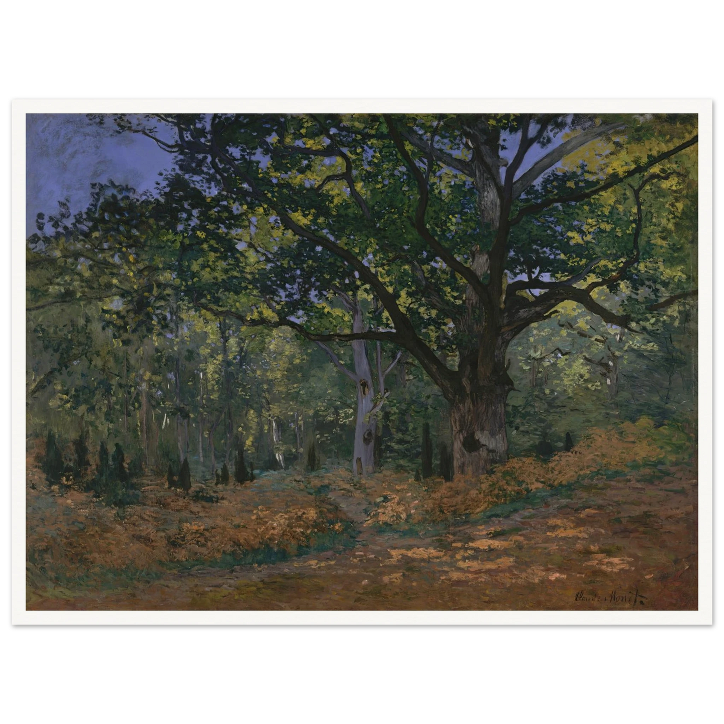 The Bodmer Oak, Fontainebleau Forest (1865) Art Print | Claude Monet - Framed Poster - 30x40 cm / 12x16″ - Black frame