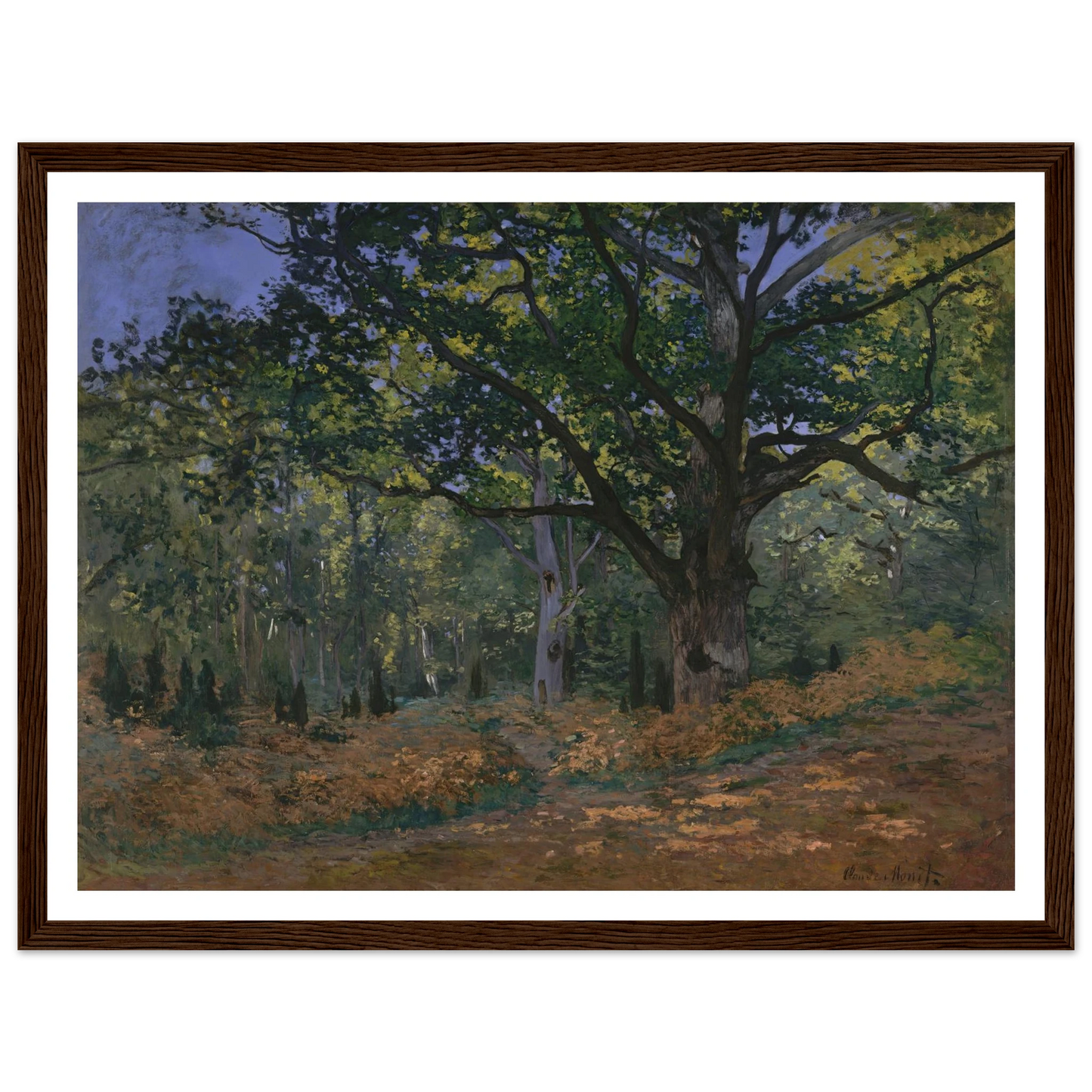 The Bodmer Oak, Fontainebleau Forest (1865) Art Print | Claude Monet - Framed Poster - 30x40 cm / 12x16″ - Black frame
