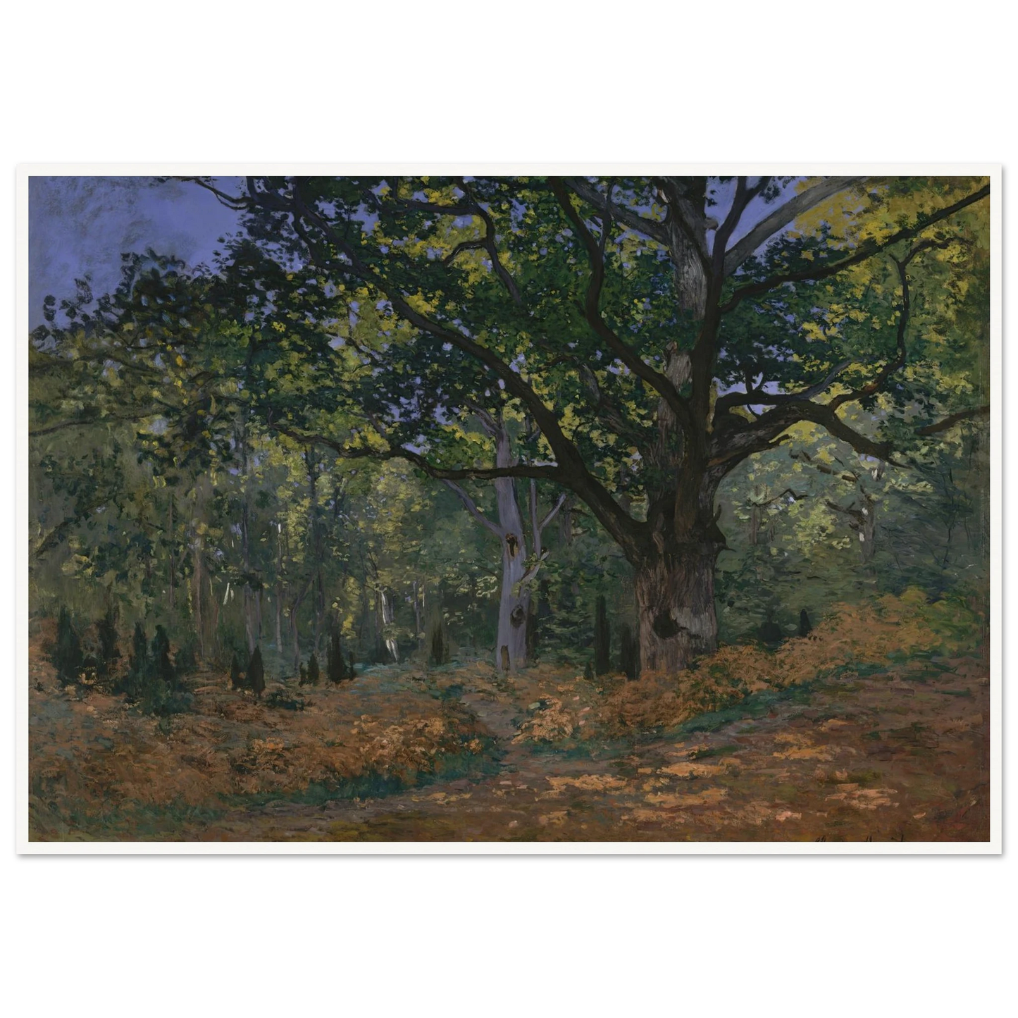 The Bodmer Oak, Fontainebleau Forest (1865) Art Print | Claude Monet - Framed Poster - 30x40 cm / 12x16″ - Black frame