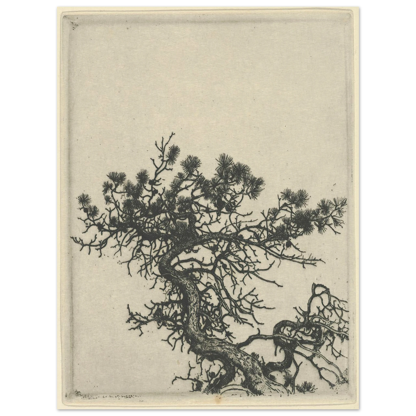 The Hunchback (1900-1925) Art Print | Ernest Haskell - Framed Poster - 30x40 cm / 12x16″ - Black frame