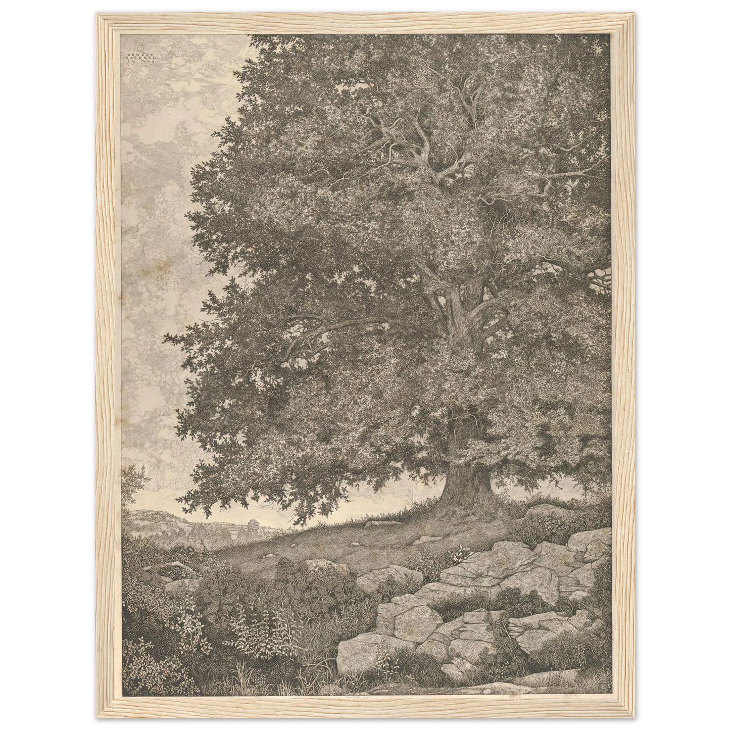 The Monarch (1909-1925) Art Print | Ernest Haskell - Framed Poster - 30x40 cm / 12x16″ - Black frame