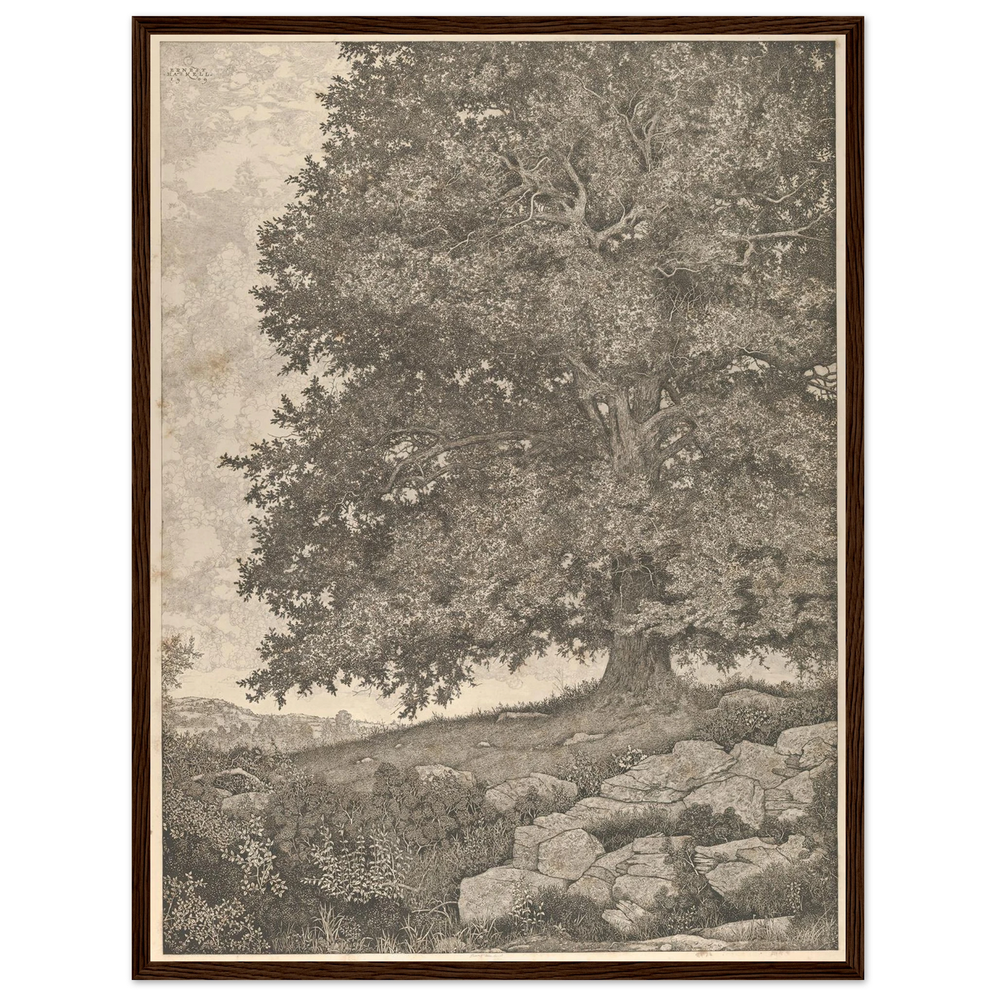 The Monarch (1909-1925) Art Print | Ernest Haskell - Framed Poster - 30x40 cm / 12x16″ - Black frame