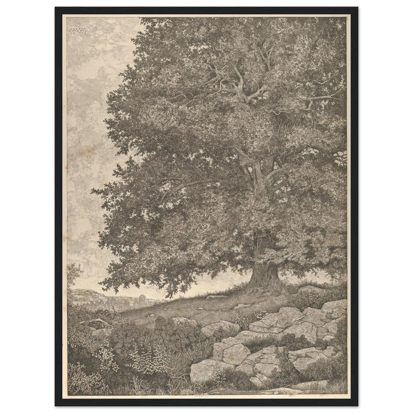 The Monarch (1909-1925) Art Print | Ernest Haskell - Framed Poster - 30x40 cm / 12x16″ - Black frame