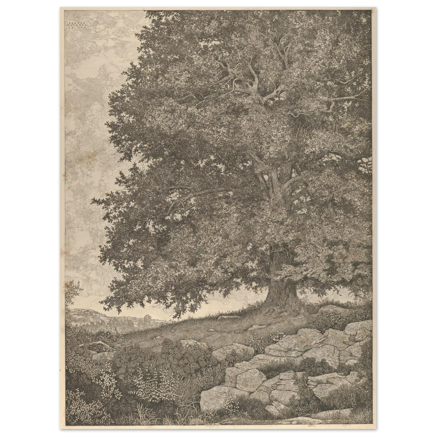 The Monarch (1909-1925) Art Print | Ernest Haskell - Framed Poster - 30x40 cm / 12x16″ - Black frame