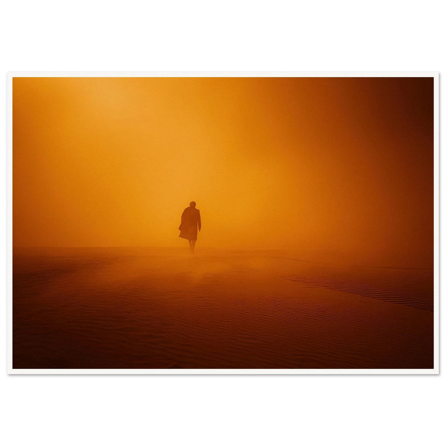 The Monarch's Orange Dust Trail - Framed Poster - 30x40 cm / 12x16″ - Black frame