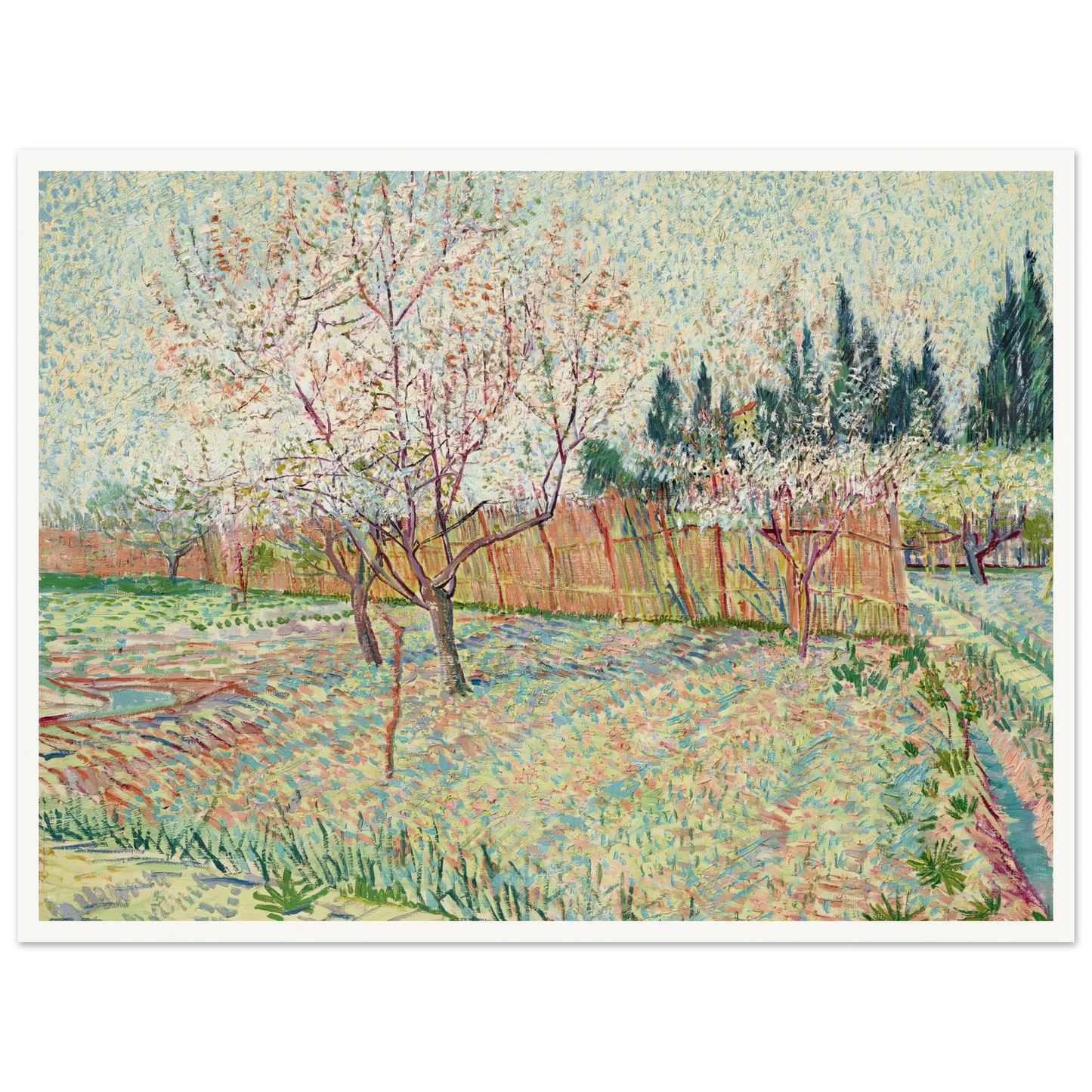 Verger avec cyprès (1888) Art Print | Vincent van Gogh - Framed Poster - 30x40 cm / 12x16″ - Black frame