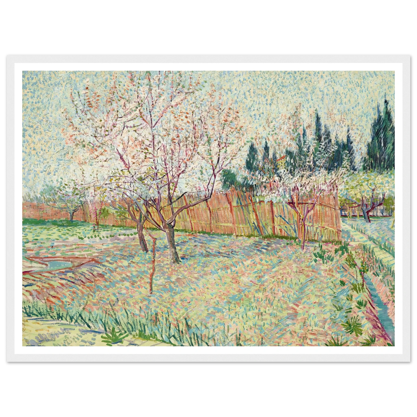 Verger avec cyprès (1888) Art Print | Vincent van Gogh - Framed Poster - 30x40 cm / 12x16″ - Black frame