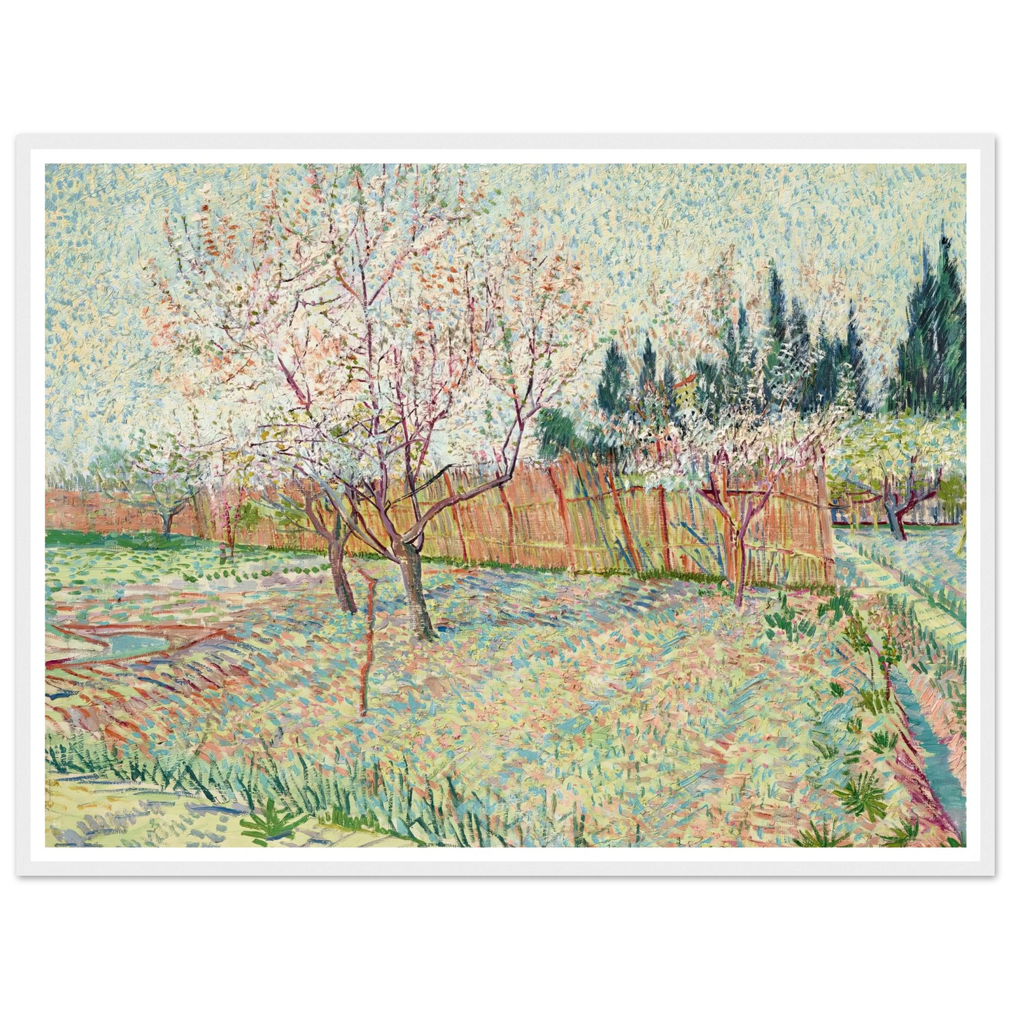 Verger avec cyprès (1888) Art Print | Vincent van Gogh - Framed Poster - 30x40 cm / 12x16″ - Black frame