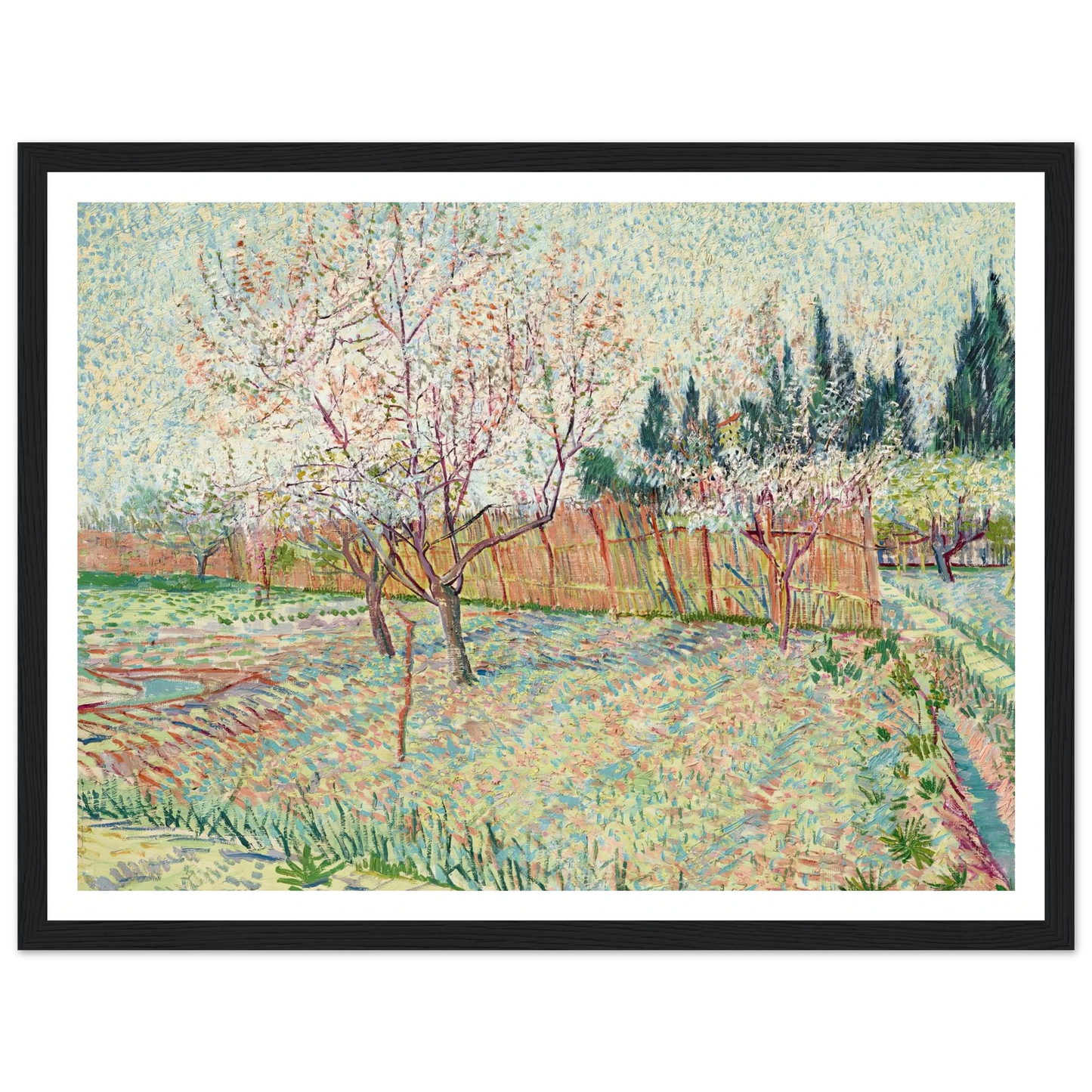 Verger avec cyprès (1888) Art Print | Vincent van Gogh - Framed Poster - 30x40 cm / 12x16″ - Black frame