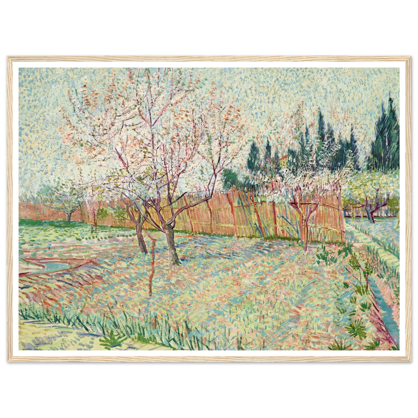Verger avec cyprès (1888) Art Print | Vincent van Gogh - Framed Poster - 30x40 cm / 12x16″ - Black frame