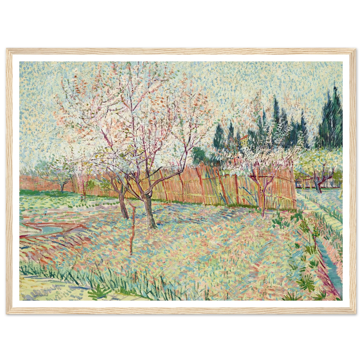 Verger avec cyprès (1888) Art Print | Vincent van Gogh - Framed Poster - 30x40 cm / 12x16″ - Black frame