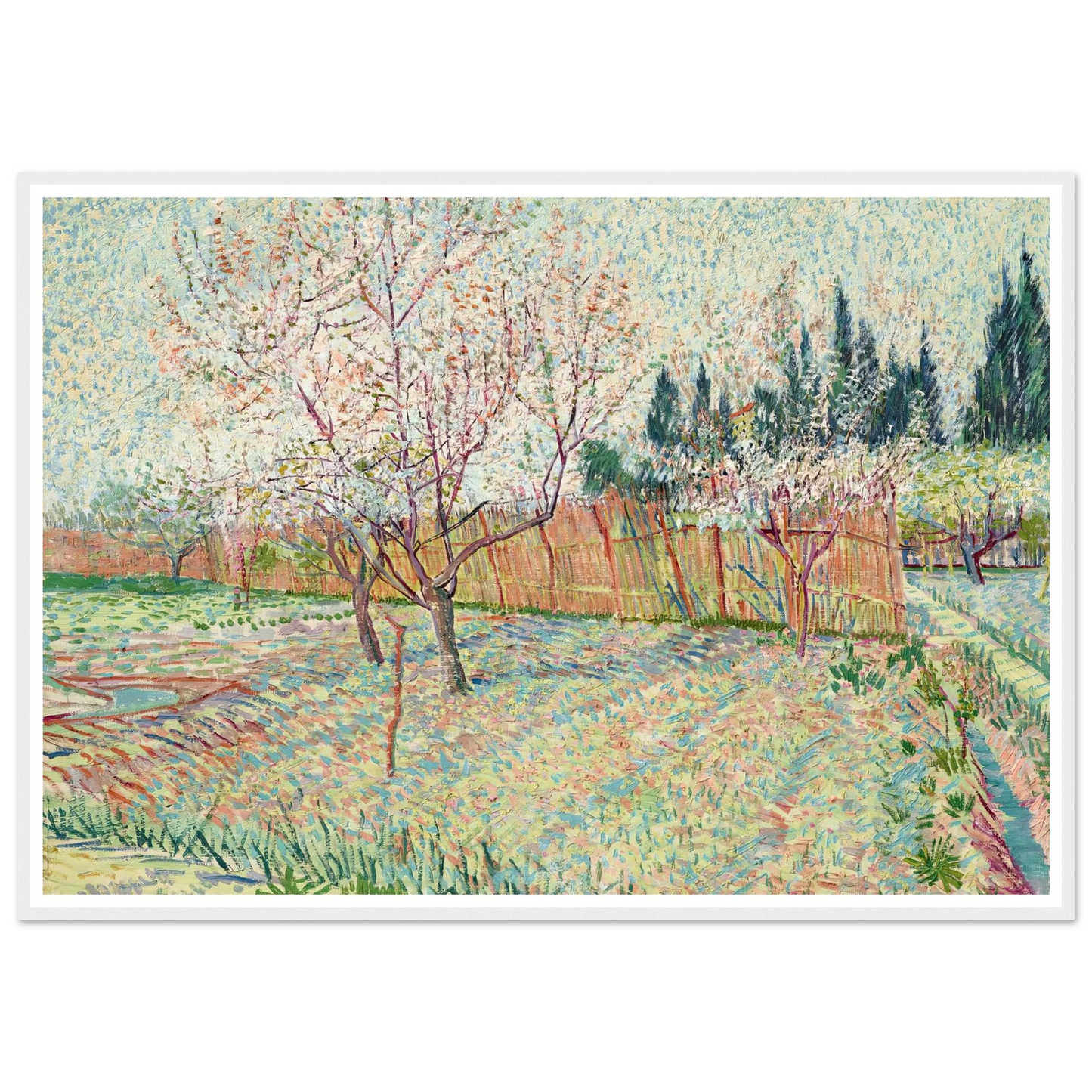 Verger avec cyprès (1888) Art Print | Vincent van Gogh - Framed Poster - 30x40 cm / 12x16″ - Black frame
