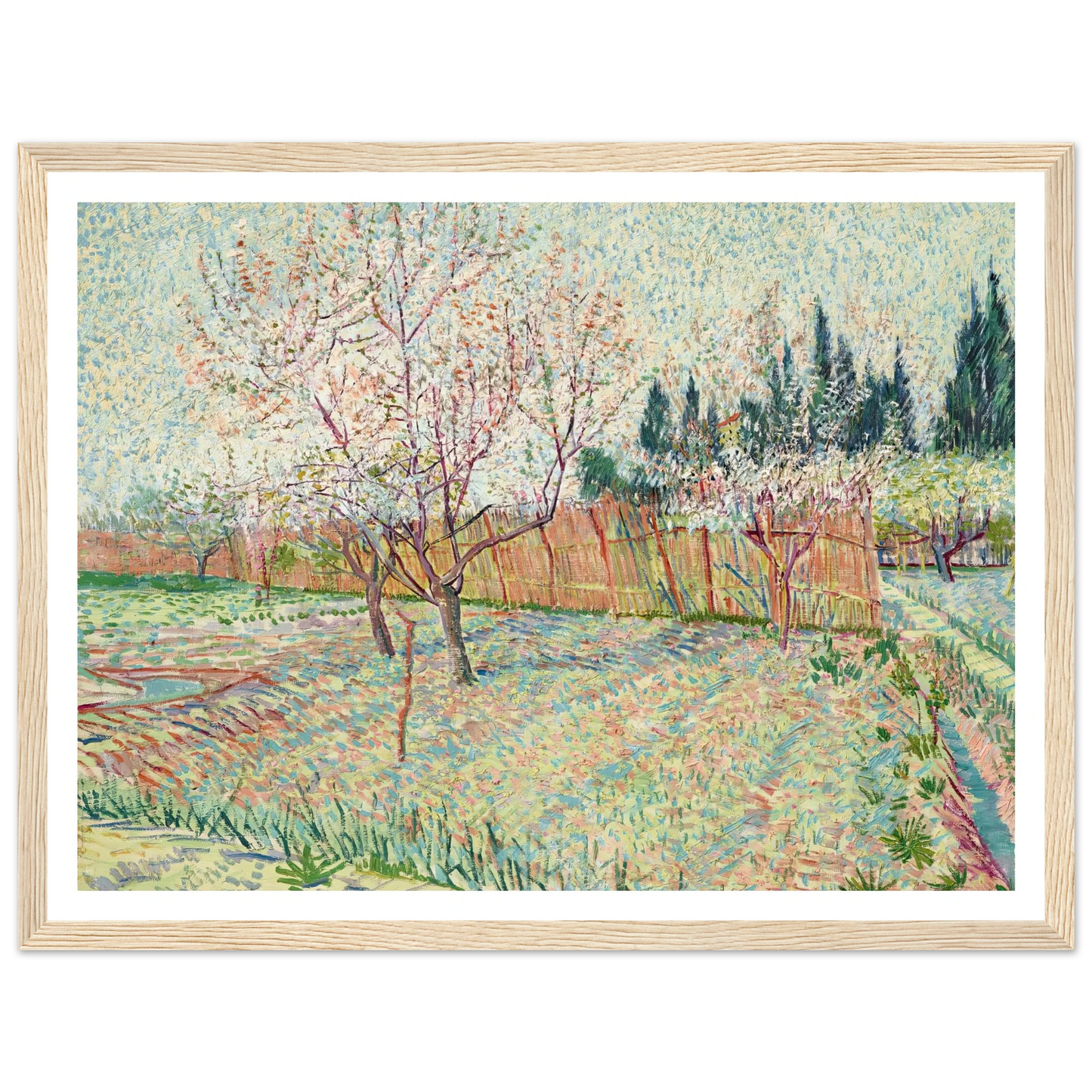 Verger avec cyprès (1888) Art Print | Vincent van Gogh - Framed Poster - 30x40 cm / 12x16″ - Black frame