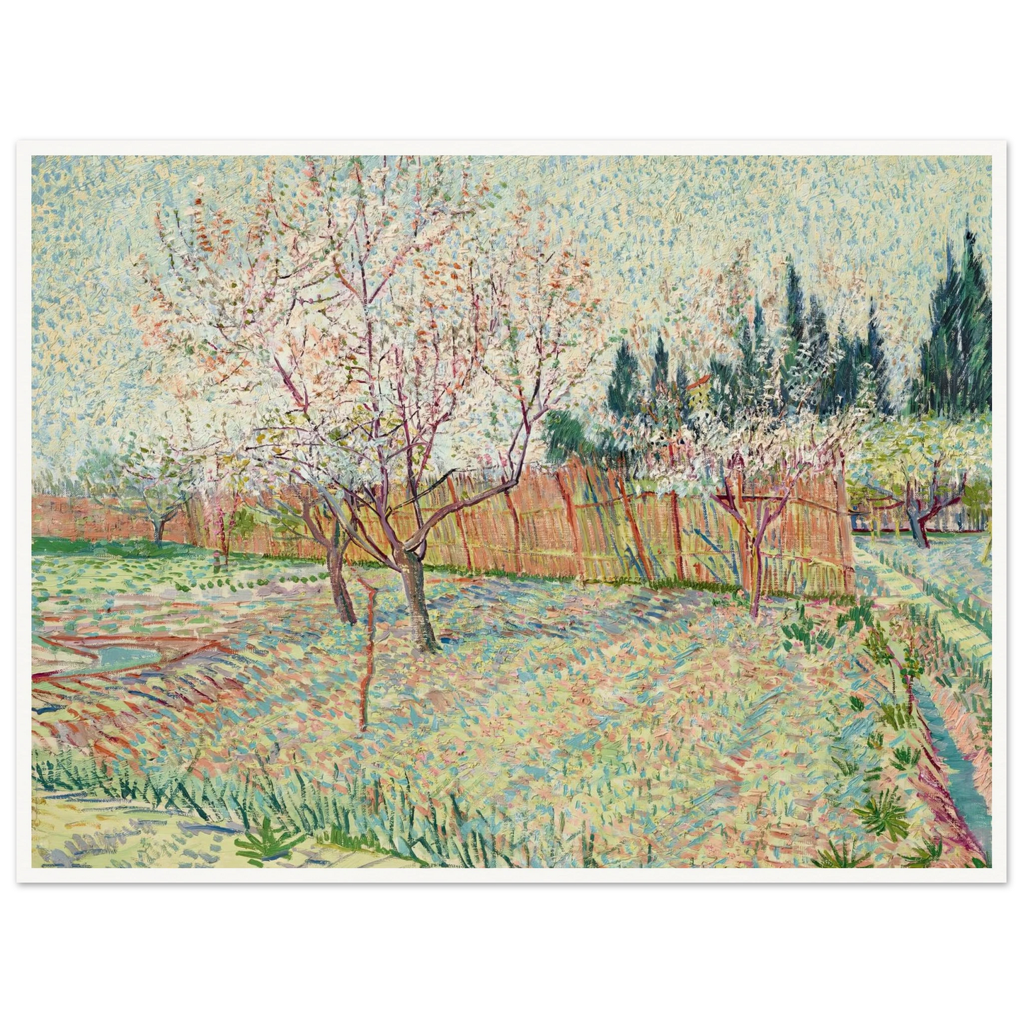 Verger avec cyprès (1888) Art Print | Vincent van Gogh - Framed Poster - 30x40 cm / 12x16″ - Black frame
