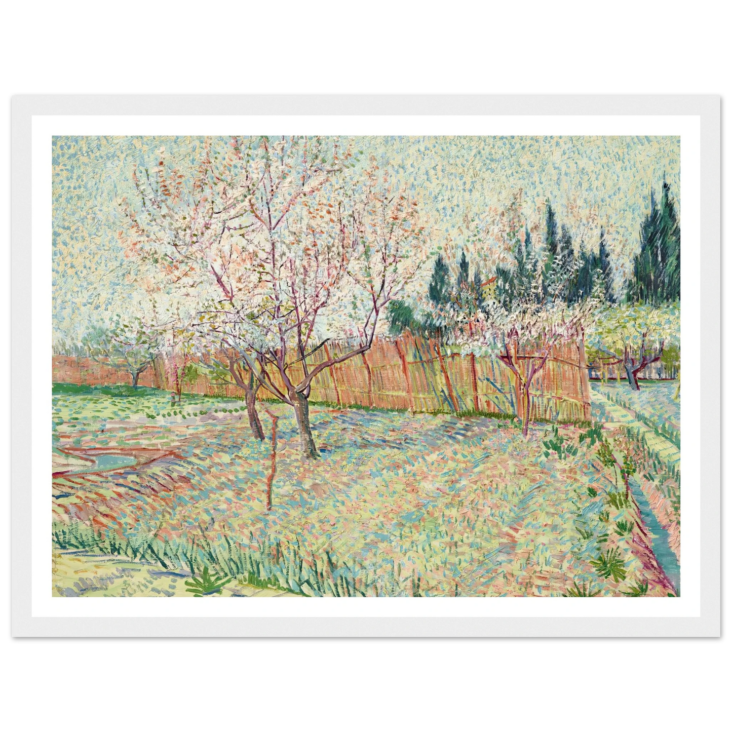 Verger avec cyprès (1888) Art Print | Vincent van Gogh - Framed Poster - 30x40 cm / 12x16″ - Black frame