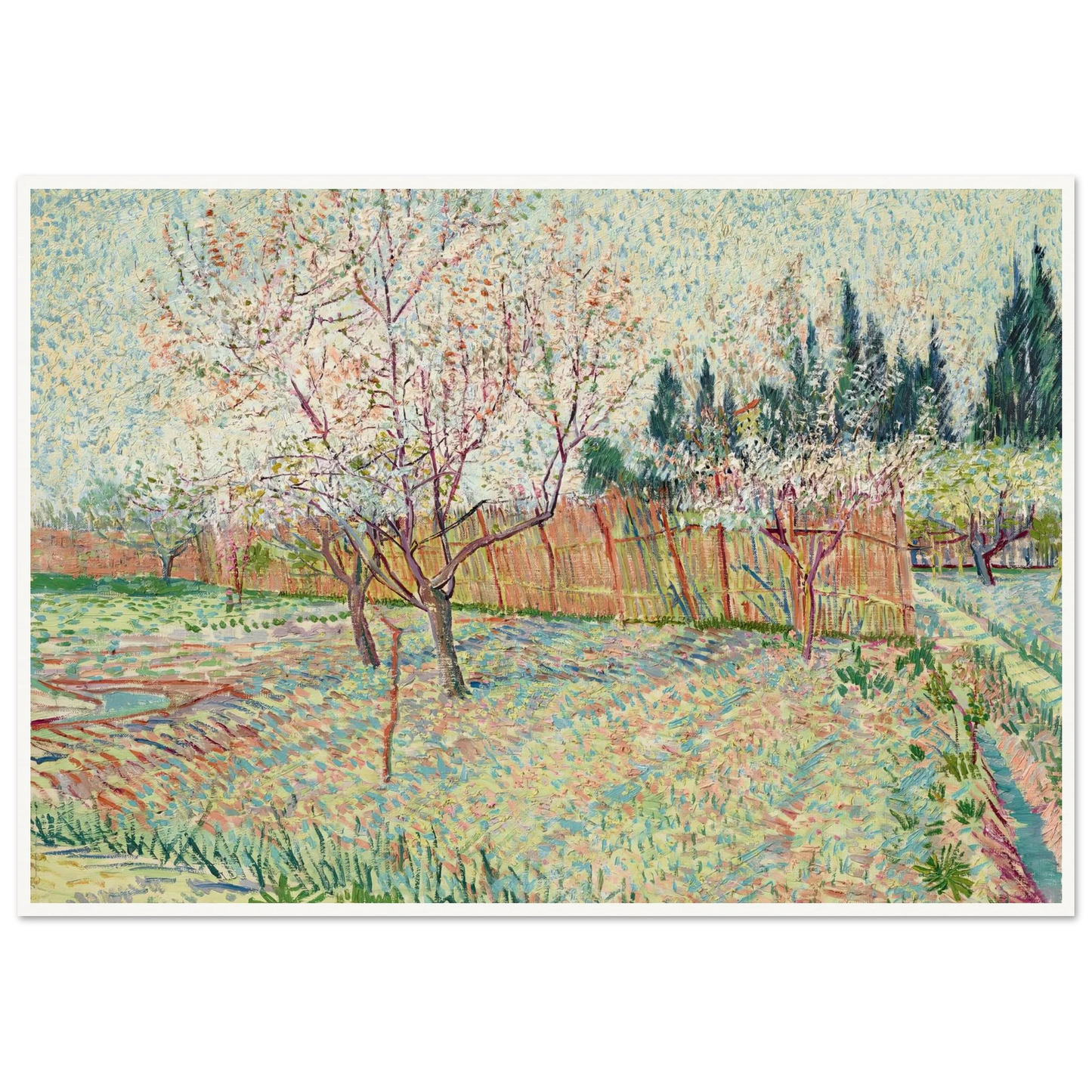 Verger avec cyprès (1888) Art Print | Vincent van Gogh - Framed Poster - 30x40 cm / 12x16″ - Black frame