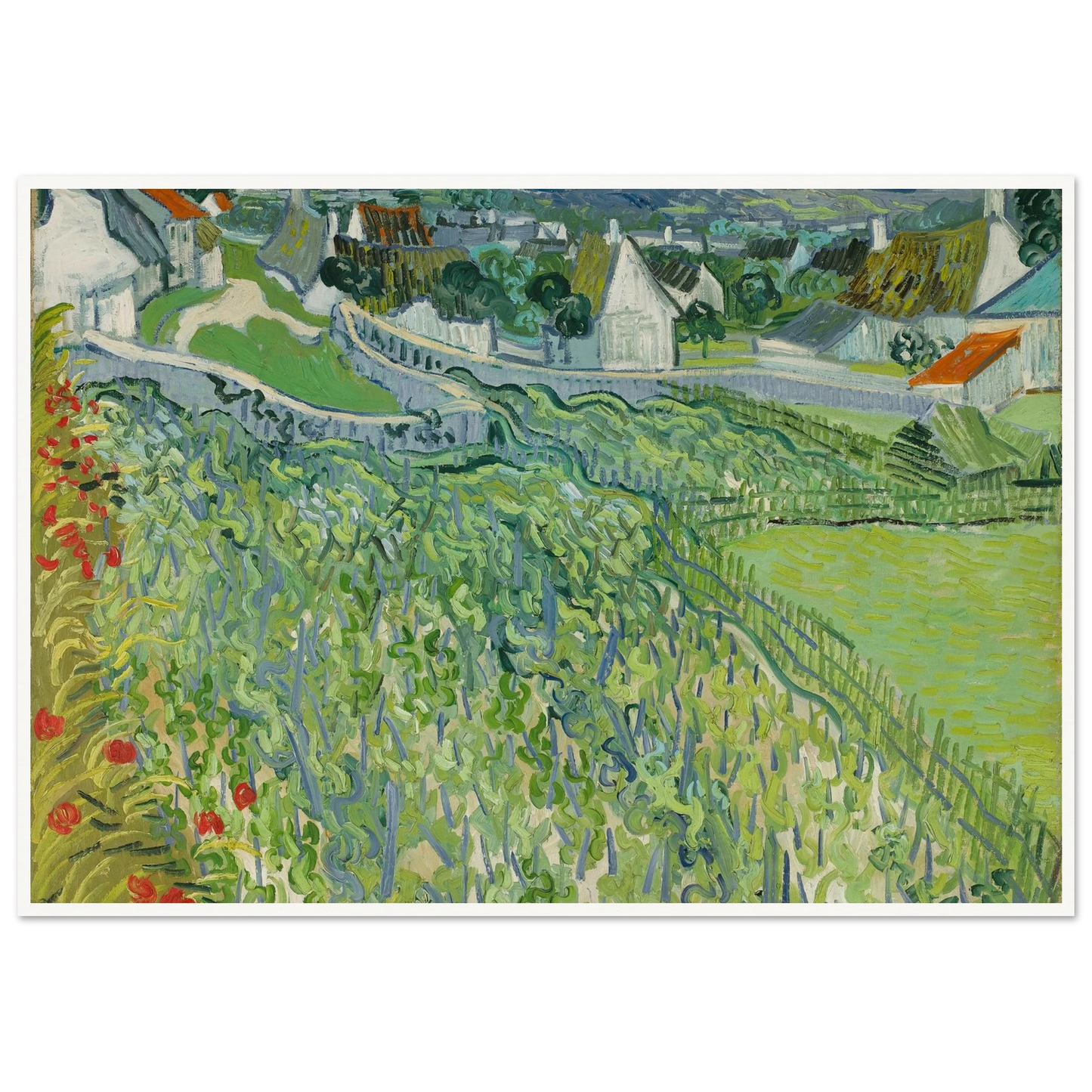Vineyards at Auvers (1890) Art Print | Vincent van Gogh - Framed Poster - 30x40 cm / 12x16″ - Black frame