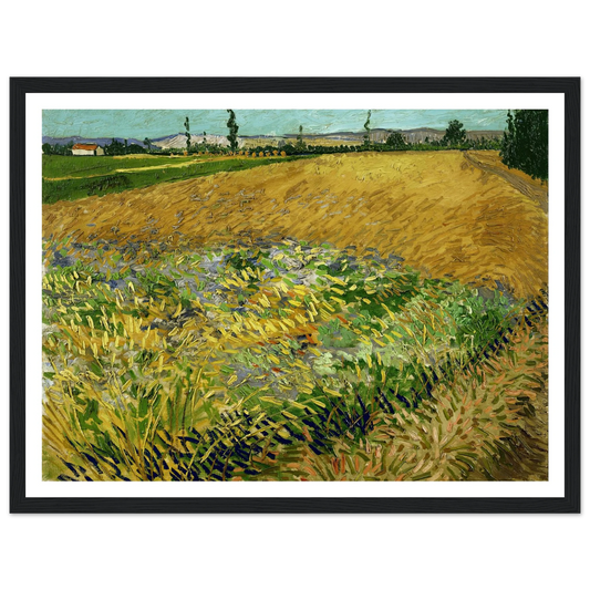 Wheatfield (1888) Art Print | Vincent van Gogh - Framed Poster - 30x40 cm / 12x16″ - Black frame