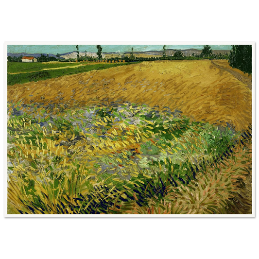 Wheatfield (1888) Art Print | Vincent van Gogh - Framed Poster - 30x40 cm / 12x16″ - Black frame