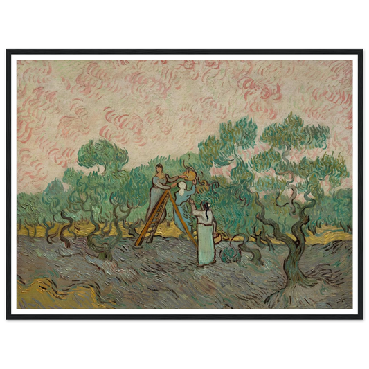 Women Picking Olives (1889) Art Print | Vincent van Gogh - Framed Poster - 30x40 cm / 12x16″ - Black frame
