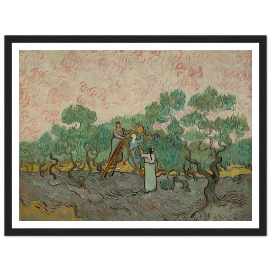 Women Picking Olives (1889) Art Print | Vincent van Gogh - Framed Poster - 30x40 cm / 12x16″ - Black frame
