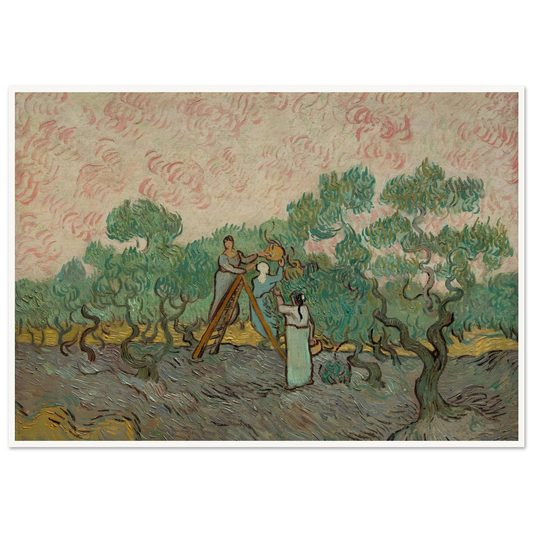 Women Picking Olives (1889) Art Print | Vincent van Gogh - Framed Poster - 30x40 cm / 12x16″ - Black frame
